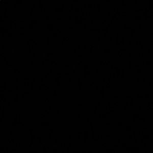 Meet your Posher, Sandy